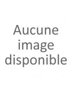 Après Shampooing pour Cheveux Colorés